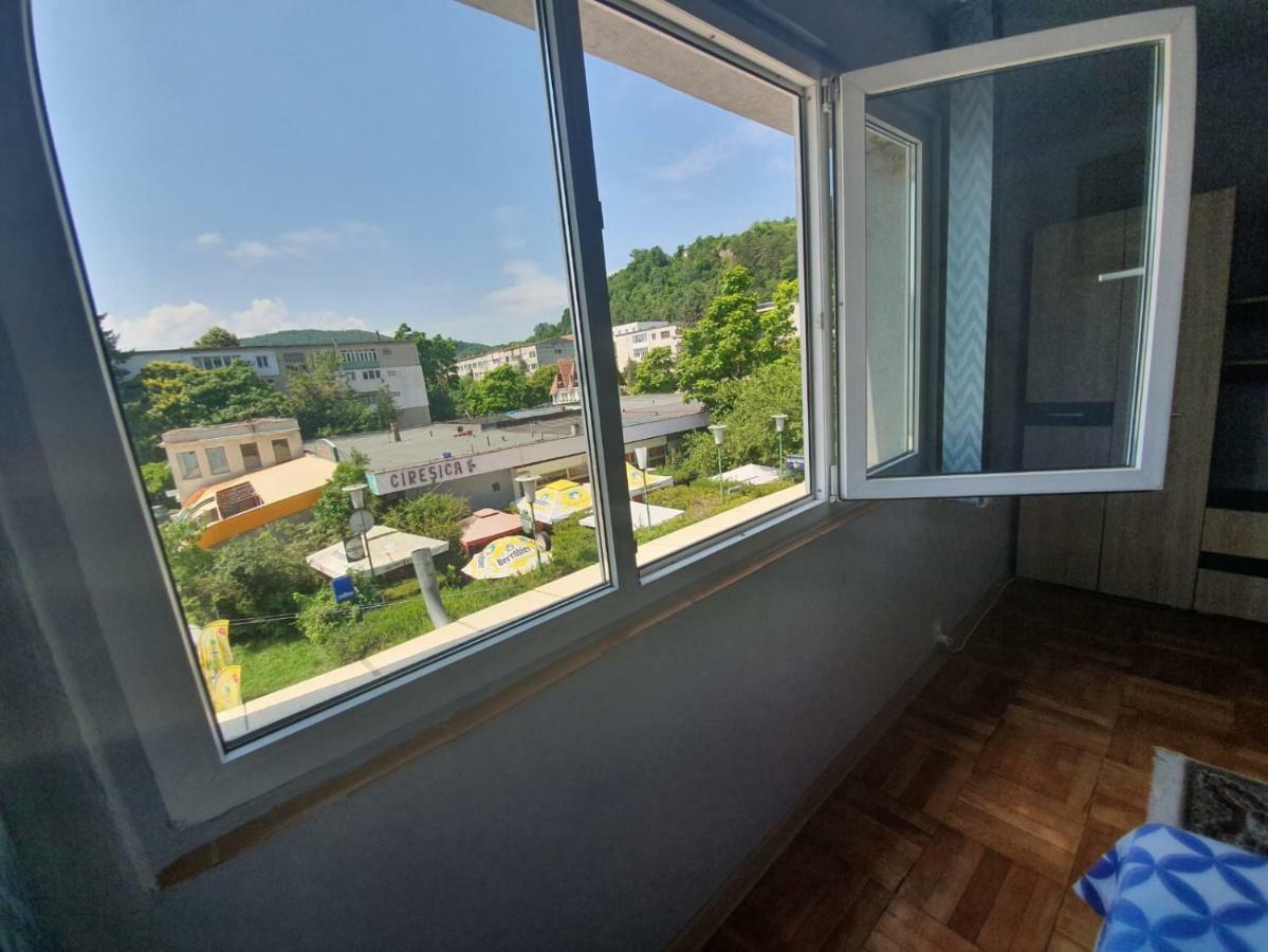 Apartament Denis Διαμέρισμα Orşova Εξωτερικό φωτογραφία
